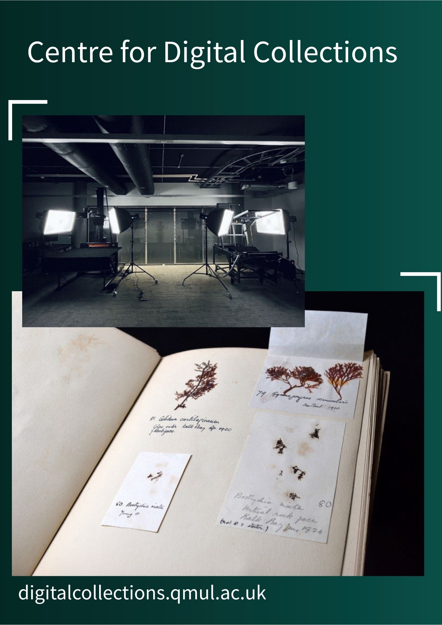 Book with pressed flowers