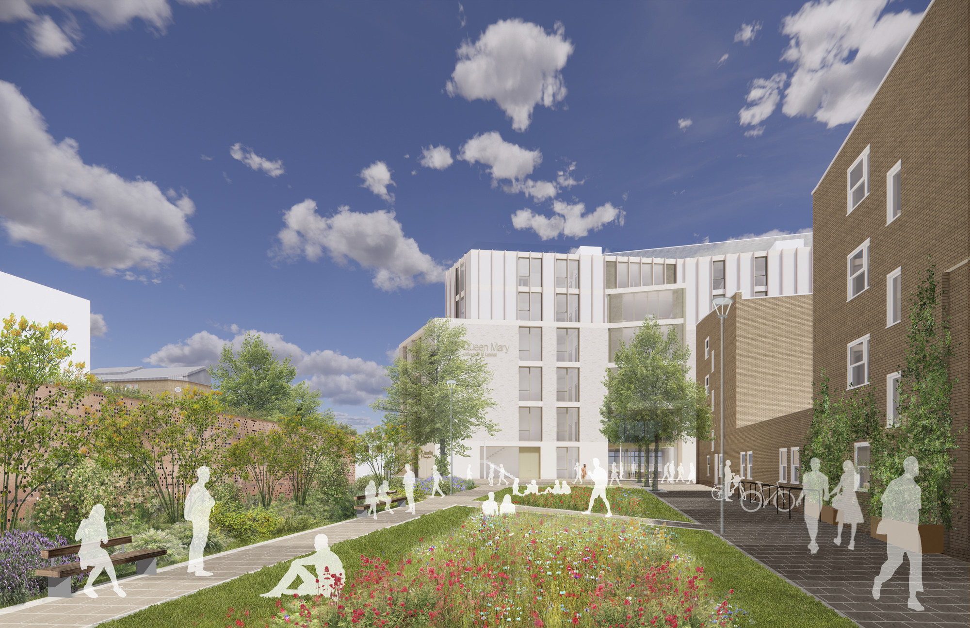 School of Business & Management