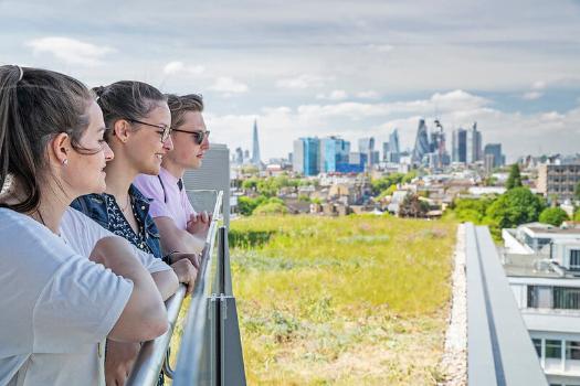 Fundraising and Alumni