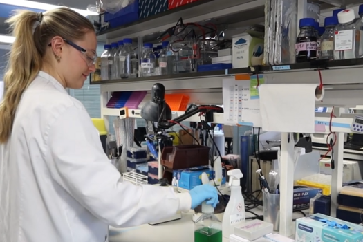 BCI student in laboratory