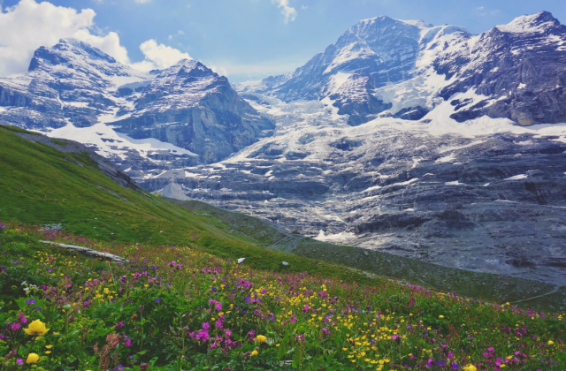 A mountain meadow in the Swiss Alps