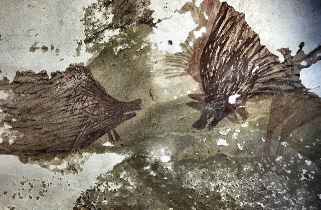 Prehistoric cave painting of two Sulawesi warty pigs from Leang Tedongnge Cave, Sulawesi, Indonesia. Dated to at least 45,000 years old, making it one of the oldest known cave art in the world and demonstrates the long-standing relationship between pigs and people in the region. Credit: Adam Brumm (Griffith University) and Adhi Agus Oktaviana (BRIN, Indonesia)